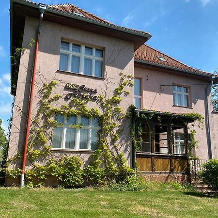 Villa Stara Apteka Srebrna Góra Kültér fotó