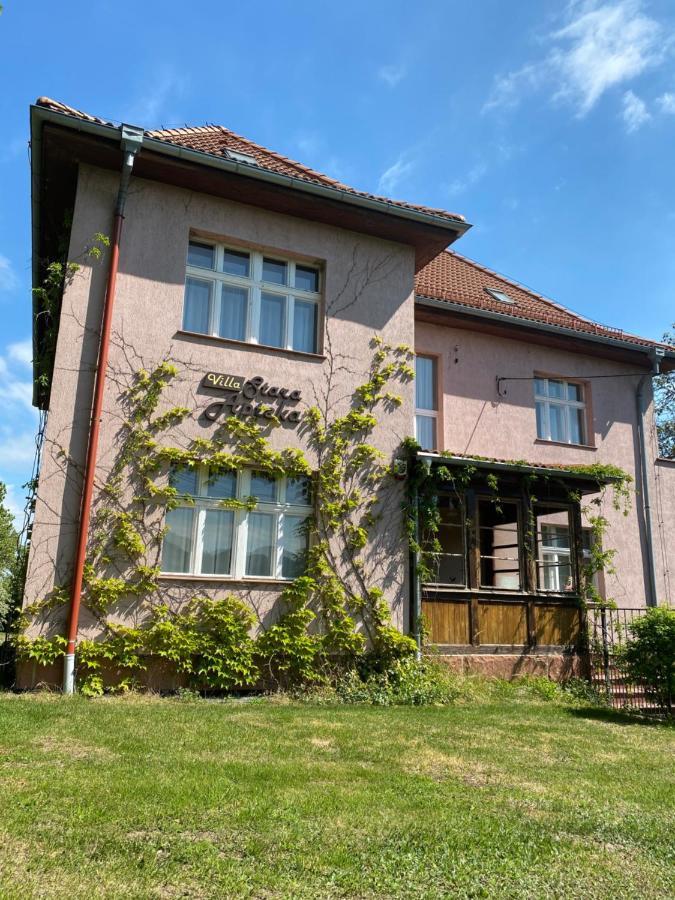 Villa Stara Apteka Srebrna Góra Kültér fotó